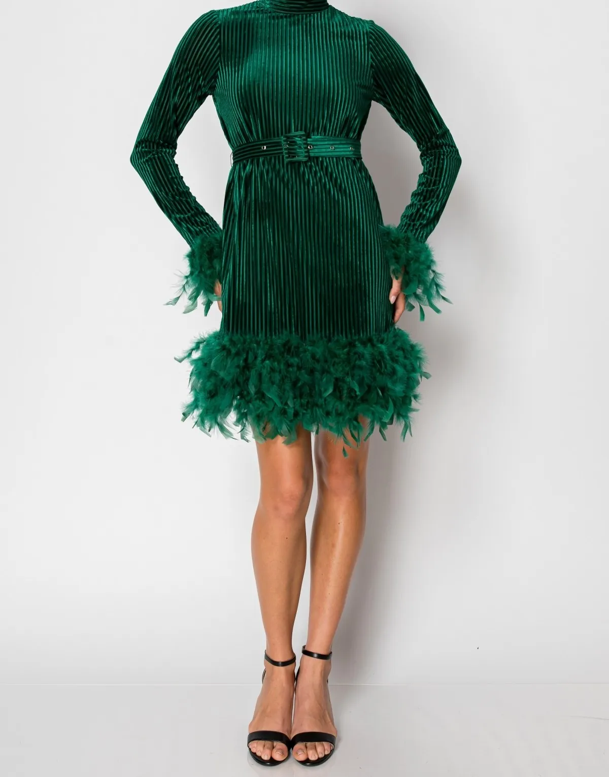 One of the supplier photos Bezza had of a green velvet feather-trim dress