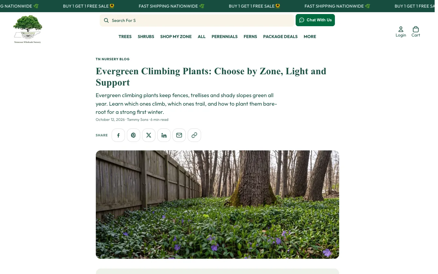 A TN Nursery article, Evergreen Climbing Plants: Choose by Zone, Light and Support